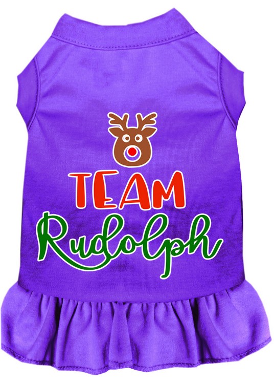 Team Rudolph Screen Print Dog Dress Purple XXL